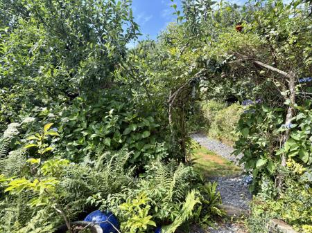 Rose Arch