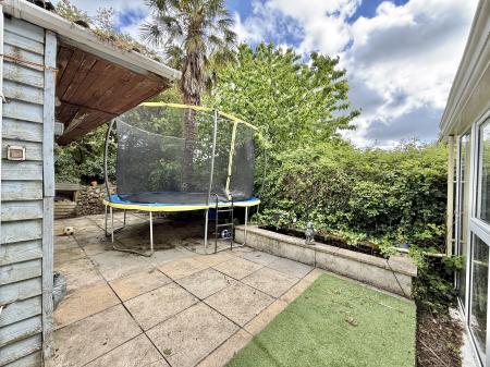 Low Maintenance Garden