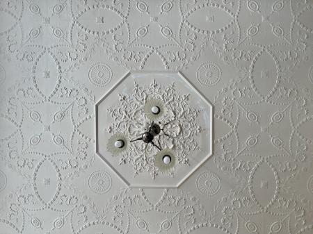 Ornate Ceilings