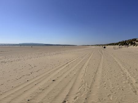 IMG_4401