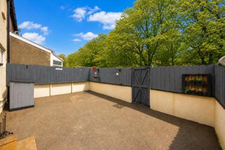 Rear Patio Garden