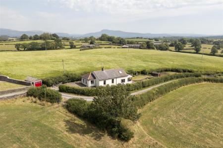 DJI_0050.jpg
