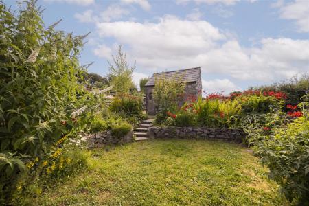 Back Garden