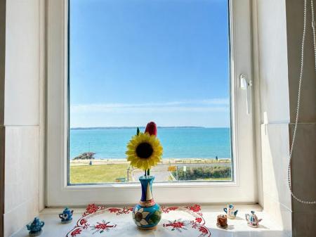 View from Kitchen.png