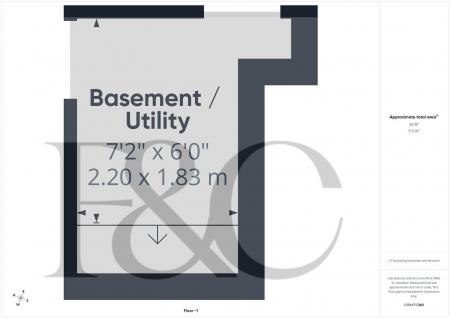 Basement / Utility