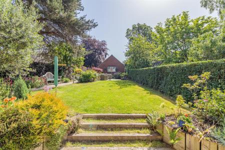 Back Garden