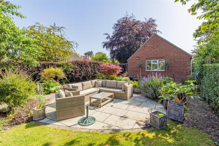 Back Garden