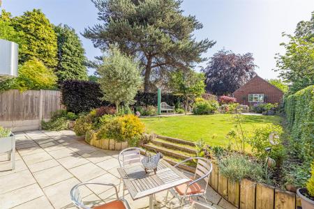Back Garden