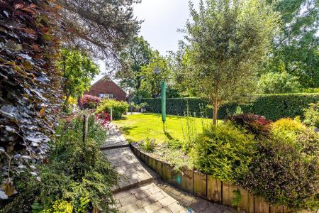Back Garden