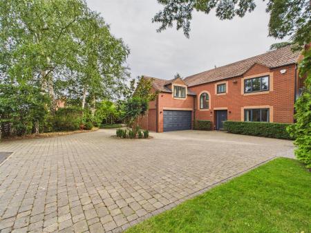 Extensive Driveway