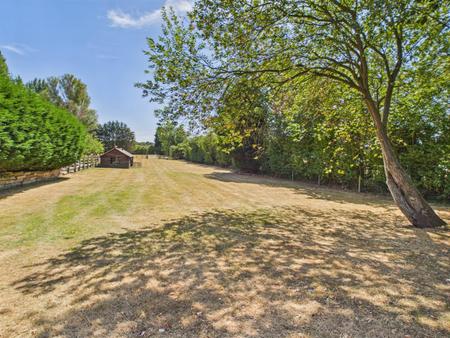Rear Paddock