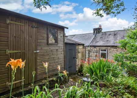 Timber Shed