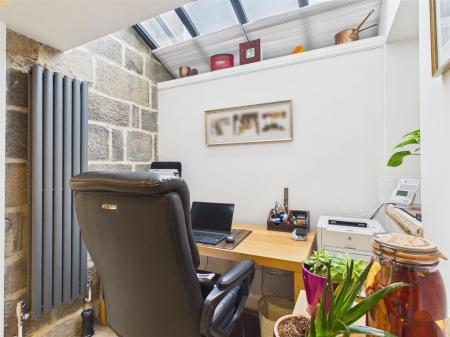 Study Area