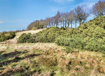 Paddock/Fields To The Rear