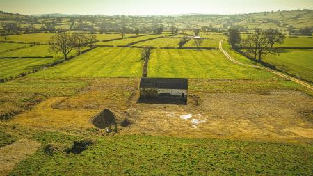 Aerial Image