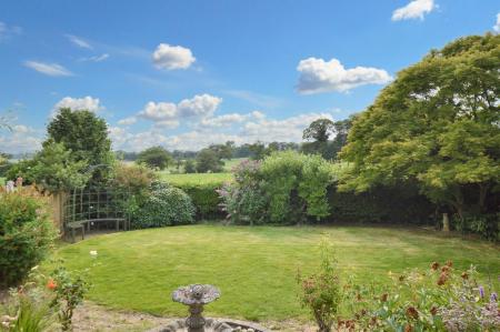Stunning Rear Garden