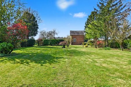 Large Garden