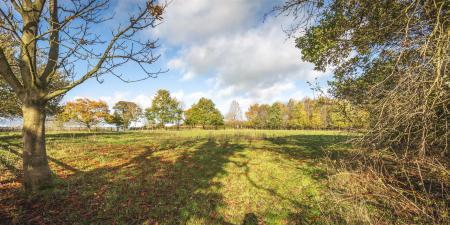 Field and Woodland - 2 Acre approx.