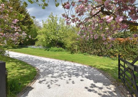 Sweeping Driveway