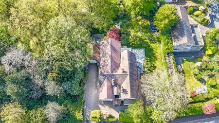 DJI_20260424100343_0072_D.jpg