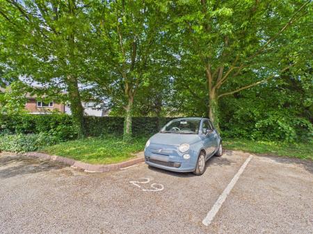 Car Parking