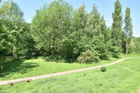 Surrounding Area