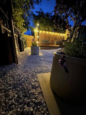 Evening Garden