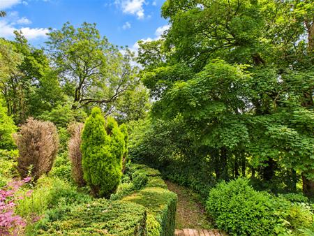 Woodland Garden