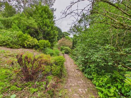 Woodland Garden