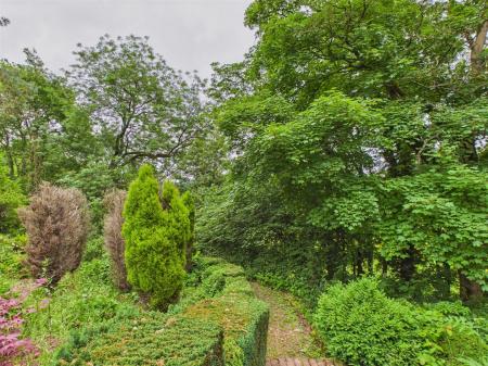 Woodland Garden