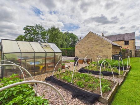 Vegetable Garden