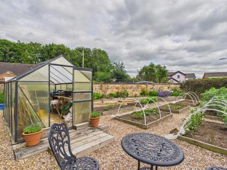 Vegetable Garden