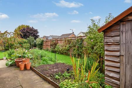 Side Garden