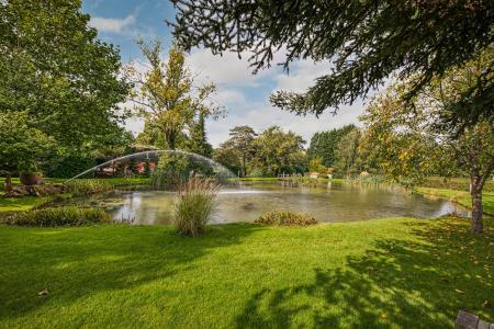 Ornamental Lake
