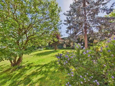 Front Garden