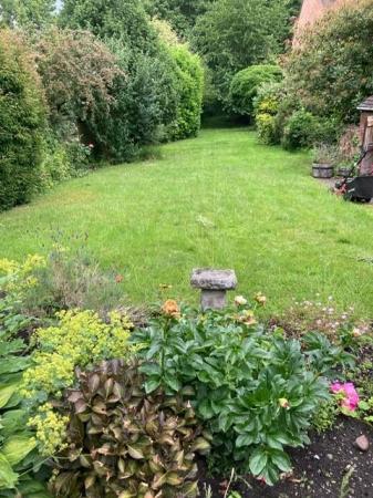 Summer garden 69 high street.jpg