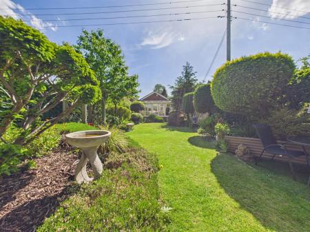 Garden & Outside