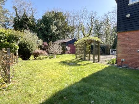 Photo 25