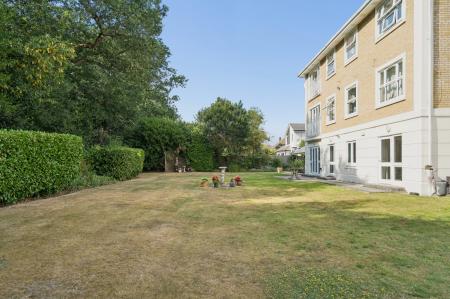 Photo 23