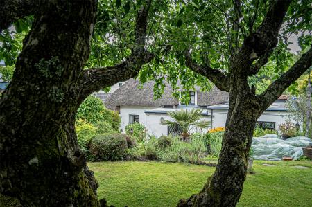 View To Cottage