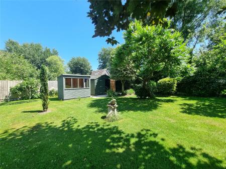 More Rear Garden!