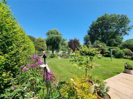 Delightful Garden