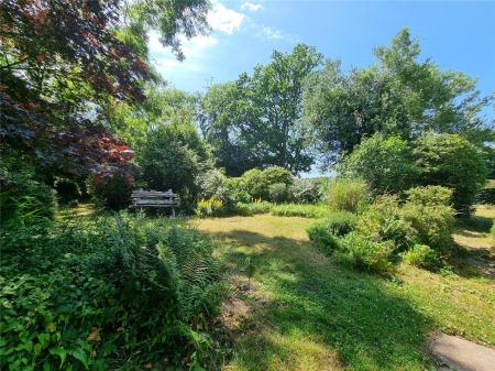 Delightful Garden