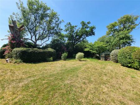 More Garden!