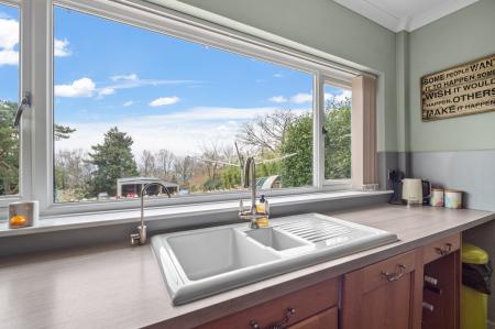 View From Kitchen