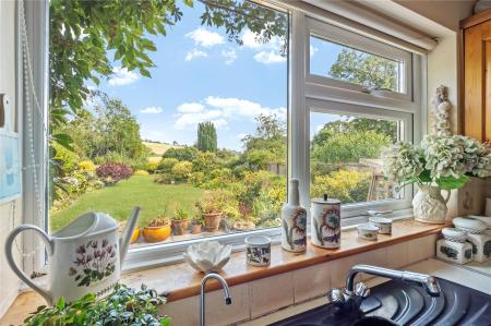 View From Kitchen