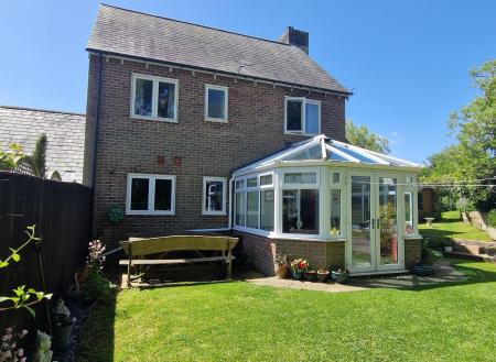 Rear Aspect
