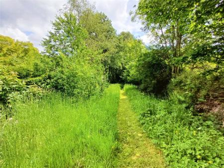 Wild Garden & Wood