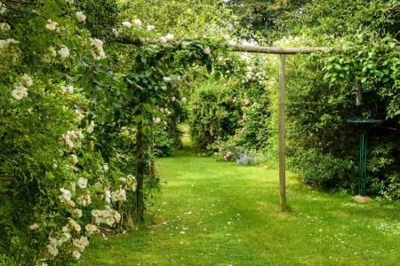 Picture No. 20