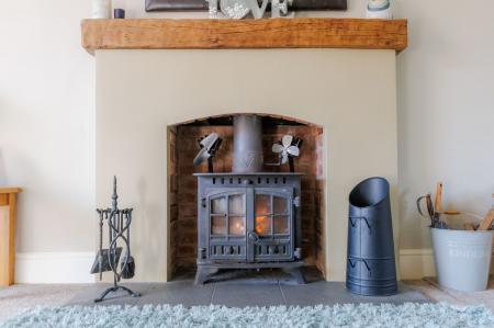 Log burning stove